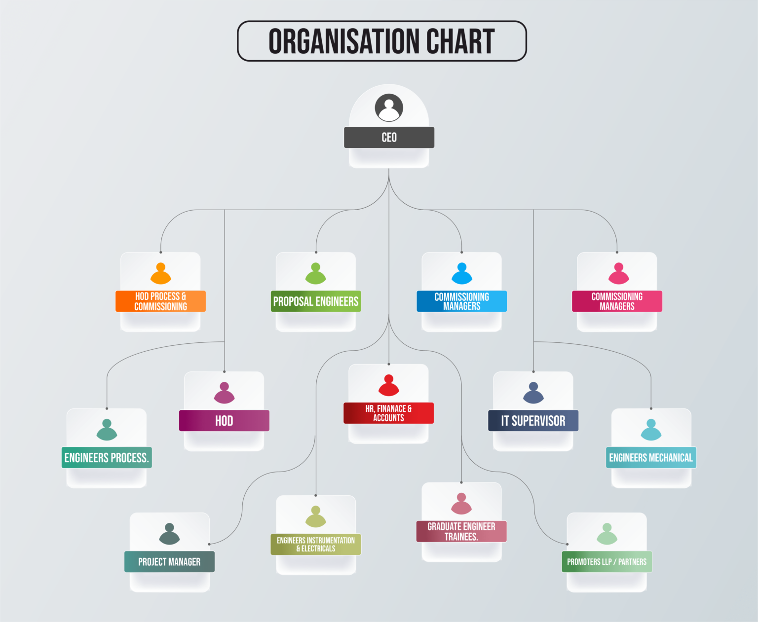 Llp Chart Organization Chart – Buckyballs Chemicals & Servicess LLP